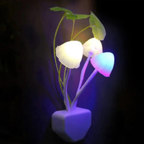 1764166932_main-image-1 - Coldzzz.com