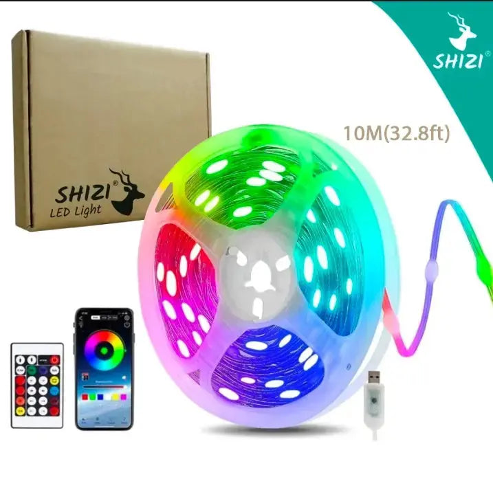 SHIZI RGB LED Smart String Light